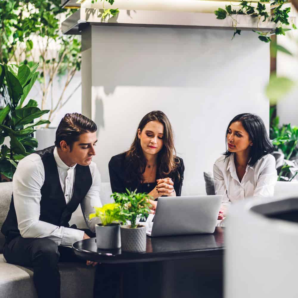 A New York business implementing sustainable practices advised by Americharge Energy, showcasing efficiency and environmental responsibility